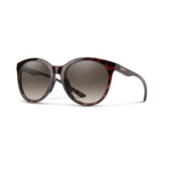 Smith Bayside Dark Havana Chomapop Brown Shaded